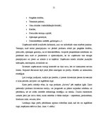 Diplomdarbs 'Produktu sortimenta novērtējums un izmaiņu lietderība SIA "Lattelecom" darbībā', 21.