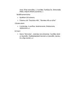 Konspekts 'Roberts Šūmanis', 2.