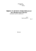 Referāts 'Vīriešu un sieviešu stereotipi Disneja multiplikācijas filmās', 1.