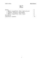 Referāts 'Diskešu ražošana', 2.