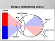 Prezentācija 'Redze un redzes problēmas, strādājot pie datora', 9.
