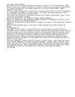 Eseja 'Digestive System', 3.