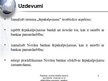 Diplomdarbs 'Ārpakalpojumu analīze Nordea bankas pamatdarbības virzienos un to efektivitātes ', 100.