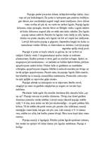 Konspekts 'Pupuķis', 2.