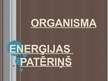 Prezentācija 'Organisma enerģijas patēriņš', 1.
