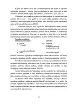 Diplomdarbs '2-3 gadu bērnu saskarsmes prasmju veicināšana M.Montesori pieejā', 27.