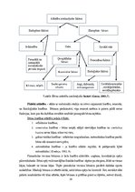 Diplomdarbs '2-3 gadu bērnu saskarsmes prasmju veicināšana M.Montesori pieejā', 29.