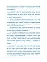 Eseja 'Kas ir protestantisma ētika M.Vēbera darbā? Ko M.Vēbers iekļāva apzīmējumā "kapi', 2.