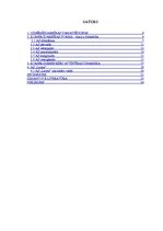 Referāts 'Akciju sabiedrības raksturojums', 2.