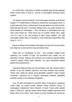 Referāts 'Austroungārija un tās sadalīšanās', 7.