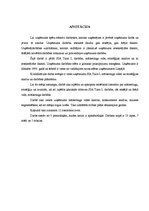 Diplomdarbs 'Uzņēmuma mārketinga vides un stratēģijas analīze un darbības plānošana', 2.