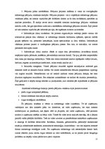 Diplomdarbs 'Uzņēmuma mārketinga vides un stratēģijas analīze un darbības plānošana', 17.
