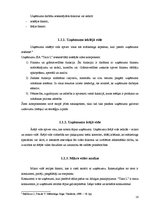 Diplomdarbs 'Uzņēmuma mārketinga vides un stratēģijas analīze un darbības plānošana', 18.