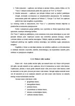 Diplomdarbs 'Uzņēmuma mārketinga vides un stratēģijas analīze un darbības plānošana', 19.