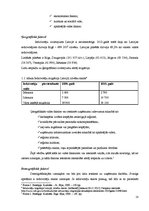 Diplomdarbs 'Uzņēmuma mārketinga vides un stratēģijas analīze un darbības plānošana', 20.