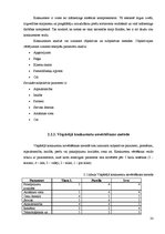 Diplomdarbs 'Uzņēmuma mārketinga vides un stratēģijas analīze un darbības plānošana', 35.