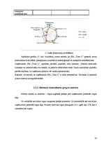 Diplomdarbs 'Uzņēmuma mārketinga vides un stratēģijas analīze un darbības plānošana', 36.