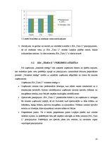 Diplomdarbs 'Uzņēmuma mārketinga vides un stratēģijas analīze un darbības plānošana', 45.