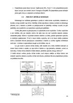 Diplomdarbs 'Uzņēmuma mārketinga vides un stratēģijas analīze un darbības plānošana', 46.