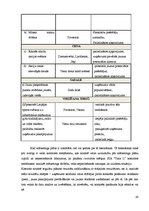 Diplomdarbs 'Uzņēmuma mārketinga vides un stratēģijas analīze un darbības plānošana', 50.