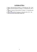 Referāts 'Microsoft Office 97', 21.