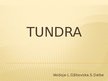 Prezentācija 'Tundra', 1.