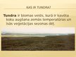 Prezentācija 'Tundra', 2.