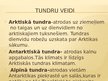 Prezentācija 'Tundra', 3.