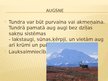 Prezentācija 'Tundra', 5.