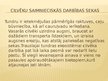 Prezentācija 'Tundra', 8.
