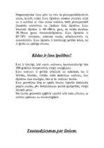 Konspekts 'Lini', 5.