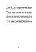 Referāts 'Norēķinu karte - dzīves nepieciešamība', 16.