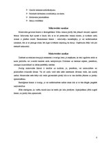 Referāts 'Ģimenes uzņēmums SIA "Ziediņš"', 9.