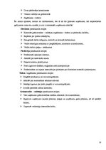 Referāts 'Ģimenes uzņēmums SIA "Ziediņš"', 16.