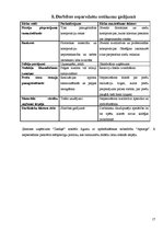 Referāts 'Ģimenes uzņēmums SIA "Ziediņš"', 17.