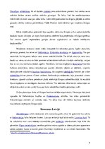 Referāts 'Benvenuto Cellini', 6.