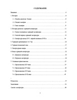 Diplomdarbs 'Развитие турецкой литературы во времена Османской империи', 3.