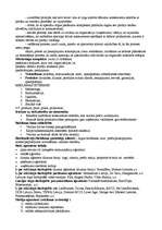 Konspekts 'Pieraksti reklāmā', 2.