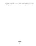 Referāts 'Renē Dekarts', 7.