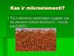 Prezentācija 'Augsnes mikroelementi un to nozīme ekosistēmā, cilvēka saimnieciskās darbības ie', 2.
