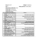 Konspekts 'Prakses laikā vērotās stundas vizuālā mākslā', 4.