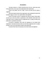 Referāts 'Veģetārisms - cilvēka dabiskā diēta', 27.