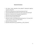 Referāts 'Cilvēku tirdzniecība', 13.