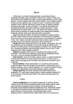 Referāts 'Opera', 2.