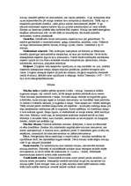 Referāts 'Opera', 3.