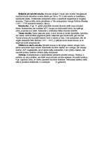 Referāts 'Opera', 4.