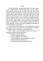 Referāts 'Mikrouzņēmumu nodoklis un nodokļu politikas pamatprincipi', 3.