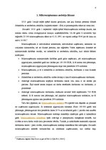 Referāts 'Mikrouzņēmumu nodoklis un nodokļu politikas pamatprincipi', 4.