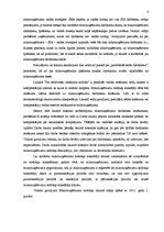 Referāts 'Mikrouzņēmumu nodoklis un nodokļu politikas pamatprincipi', 8.