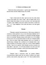 Referāts 'Psiholoģiskā atkarība no nikotīna vienaudžu vidū', 8.